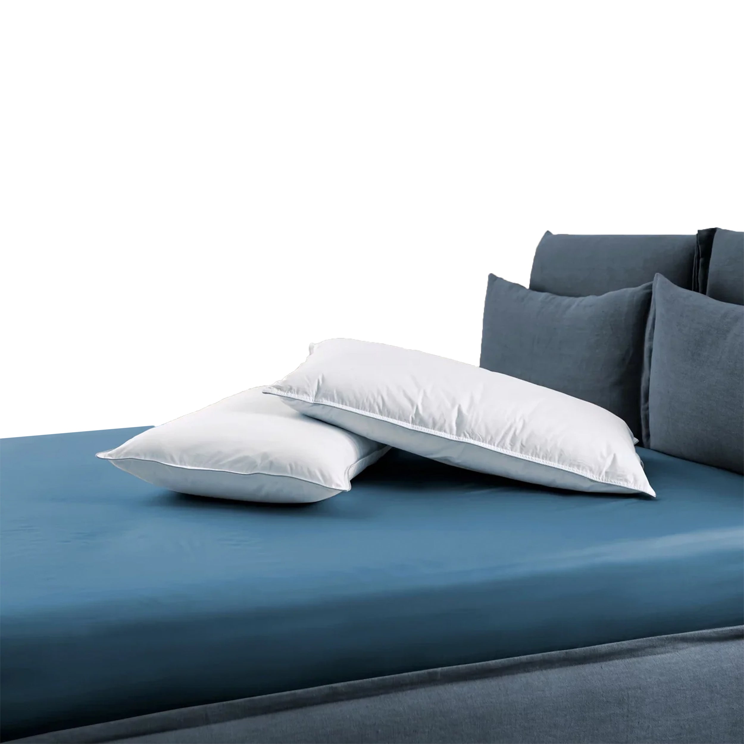 Dorelan Leev pagalvė (Pūkai + Plunksnos)