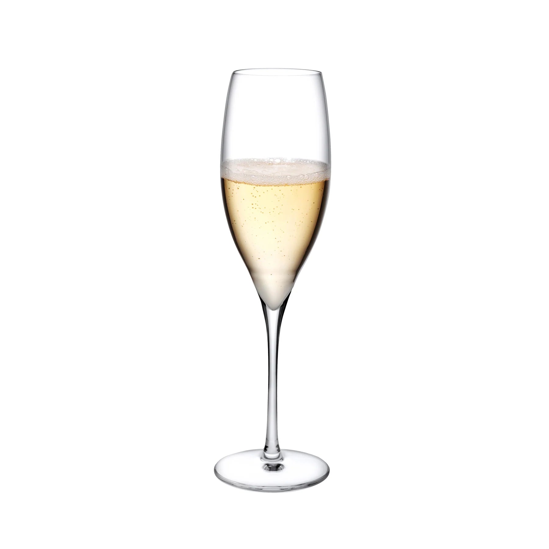 Nude Glass 255 ml Terroir šampano taurė, 2 vnt.
