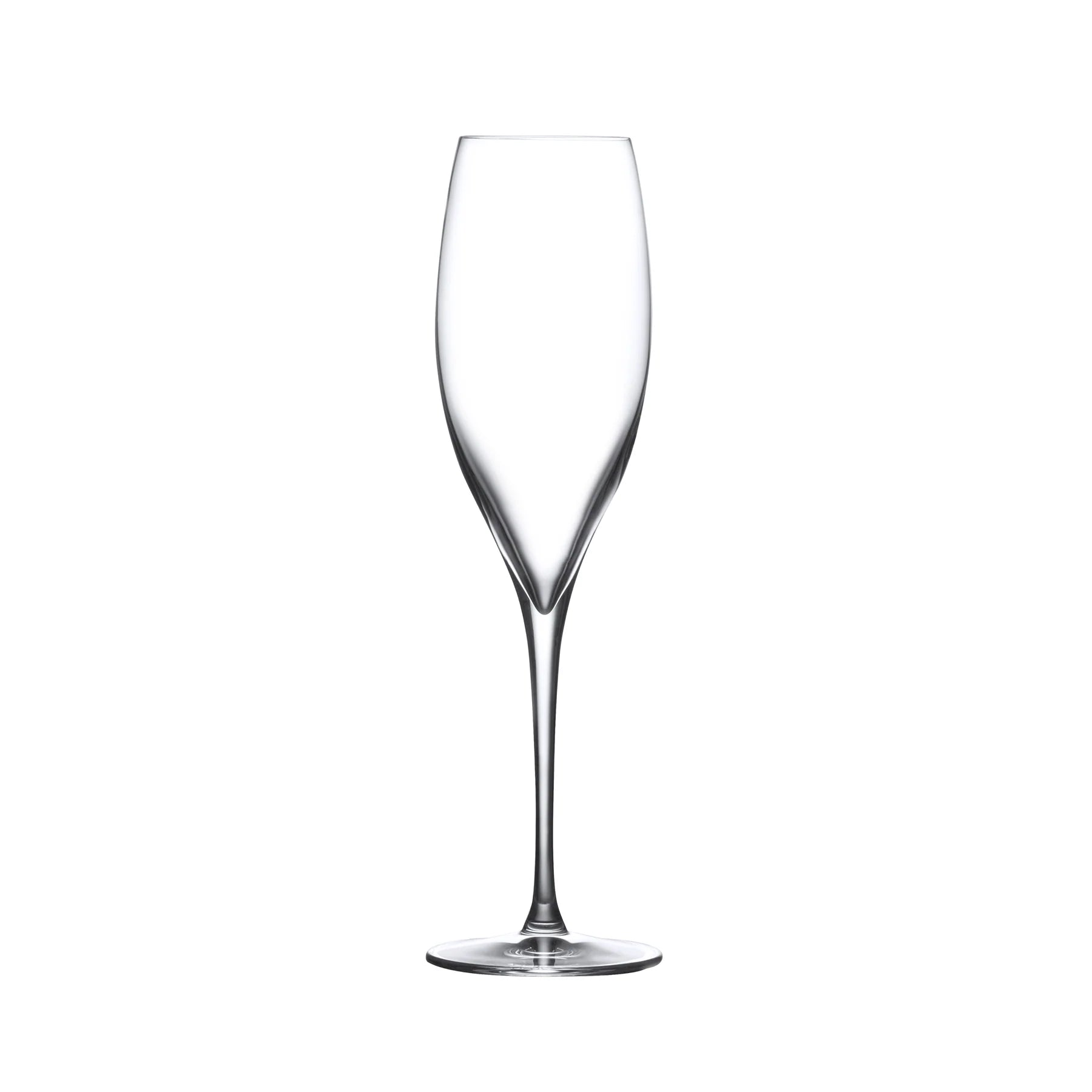 Nude Glass 255 ml Terroir šampano taurė, 2 vnt.