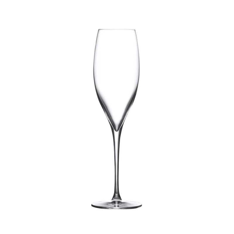 Nude Glass 255 ml Terroir šampano taurė, 2 vnt.