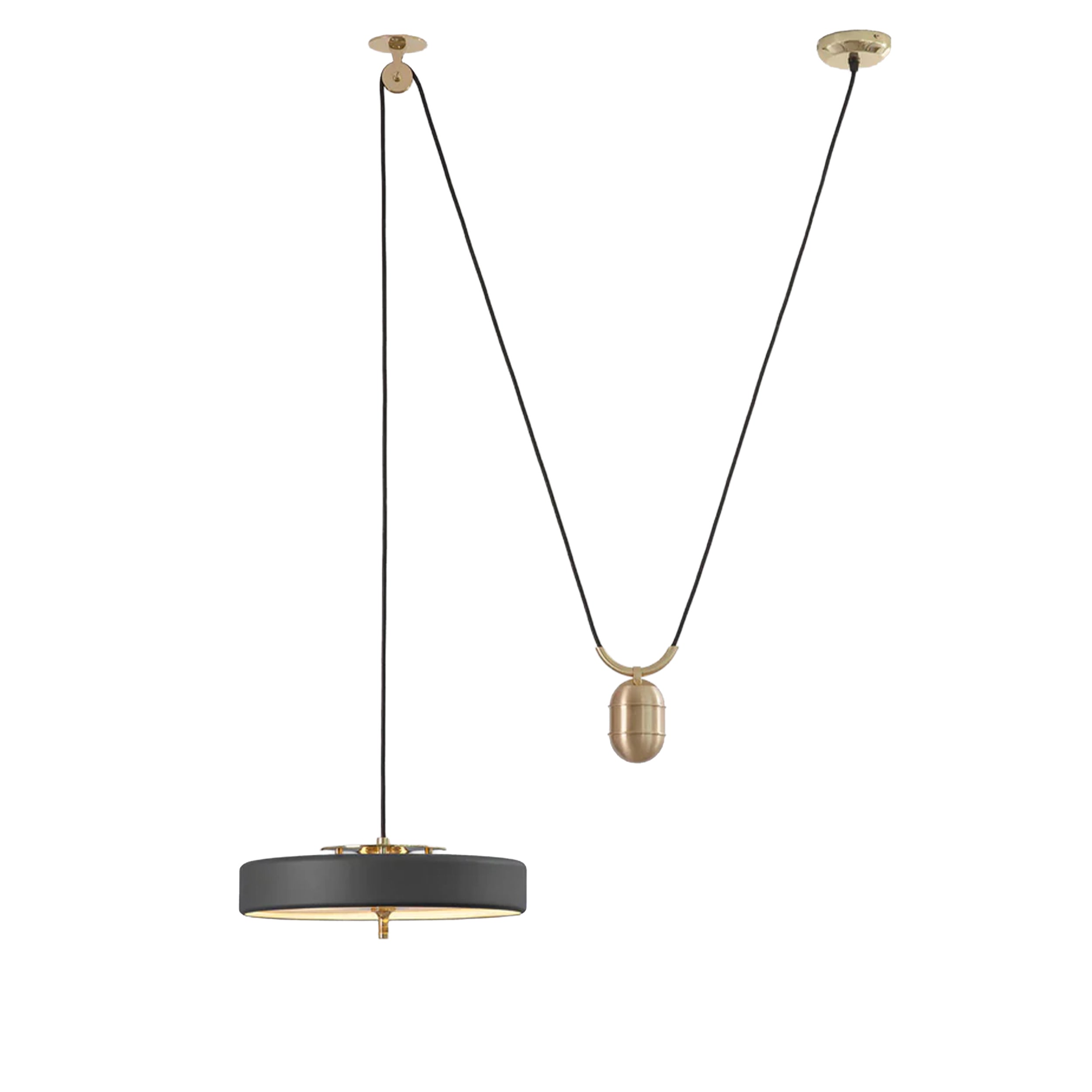 Bert Frank Revolve Rise & Fall pakabinamas šviestuvas