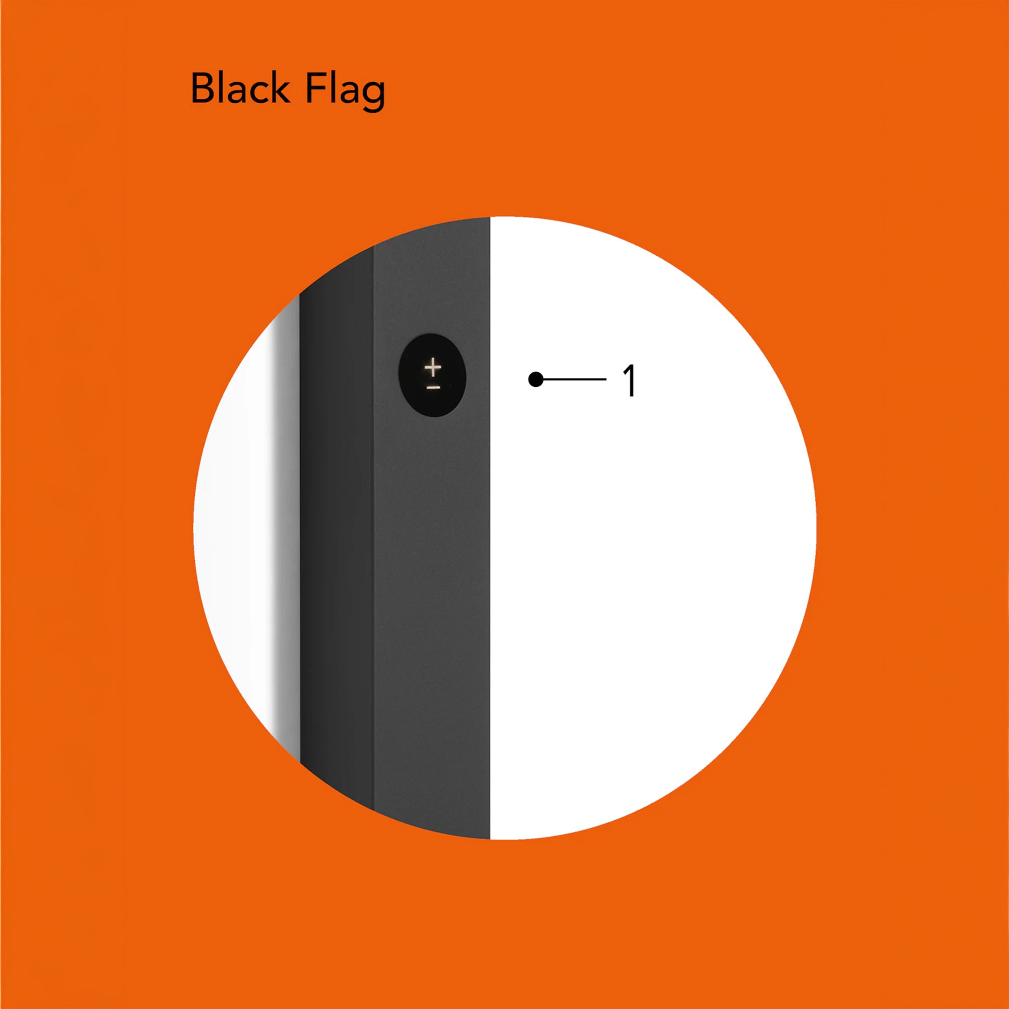 Flos Black Flag sieninis šviestuvas